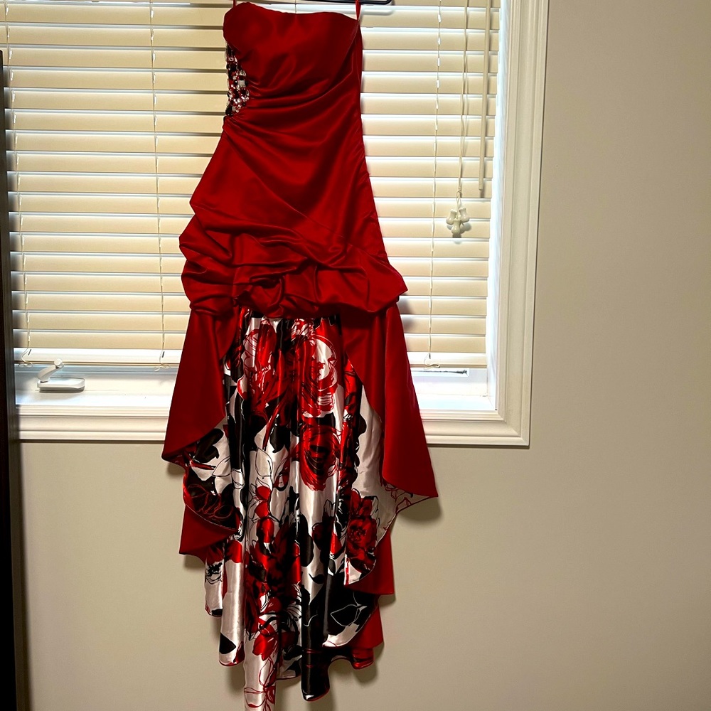 NWOT-Le Chateau Dress